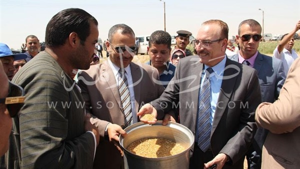 بالصور.. محافظ بني سويف ووزير التموين يفتتحان موسم حصاد القمح