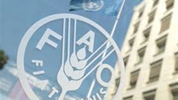 «الفاو» ترحب بالهدنة في اليمن من أجل إغاثة المتضررين