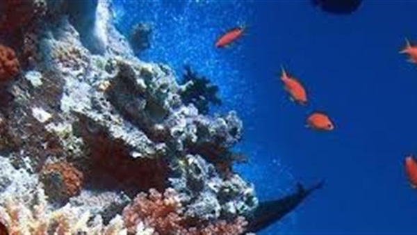 10 معلومات غريبة عن العالم اليوم 