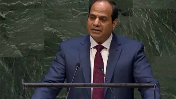  بالفيديو.. لحظات دخول السيسي   للأمم المتحدة 