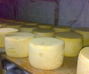 55 كيلو من الجبن الرومي منتهي الصلاحية توقع تاجر في قبضة الأمن