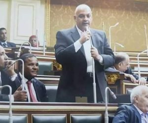 برلماني: أرفض قانون «بيع» الجنسية المصرية شكلا وموضوعا
