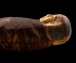تعرف على تفاصيل معرض «المومياوات المصرية» في متحف فيلد الأمريكي