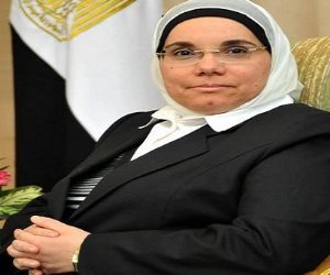 طعن الحكومة ببطلان التحفظ على أموال باكينام الشرقاوي السبت