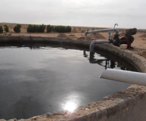 الإحصاء: 81.5 % من إجمالى الموارد المائية فى مصر تستهلك فى قطاع الزراعة