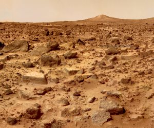 هل سيغزو ترامب المريخ؟