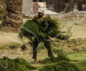 صناعة «كارينة الكراسي» في مركز أبو النمرس (صور)
