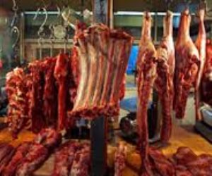 إعدام 160 طن من اللحوم الفاسدة المستخدمة في عمل اللانشون (صور) 