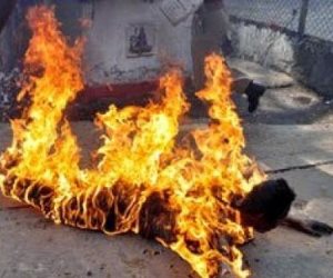 «حلاقة ع الموضة» تتسبب في إنتحار «محمد» وأشعال النيران في جسده