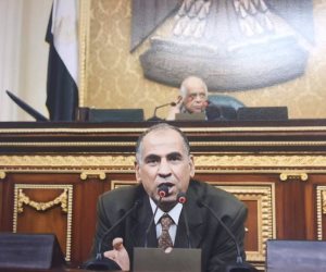 برلماني: مشروع قانون الجنسية المصرية يضبط أخلاقيات المجتمع