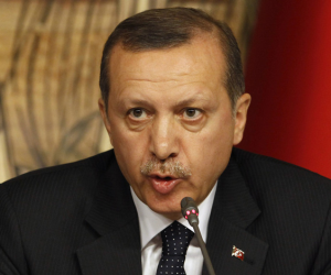 أردوغان يحذر ألمانيا من التدخل فى شئون تركيا 