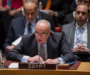 مندوب مصر بمجلس الأمن: الأزمة السورية لن تنتهي إلا بصفقة سياسية