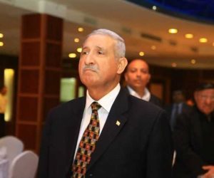 كيف تستفيد مصر من فائض الكهرباء؟