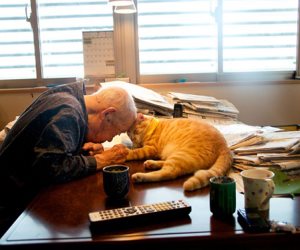 الوحدة مرة.. عجوز وقط يعيشان سويا فى المنزل ويعتبره الأخ والابن والصديق