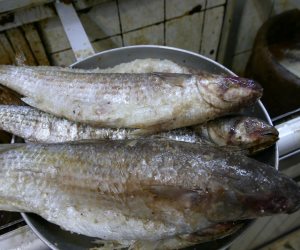 أسعار الأسماك اليوم الجمعة 23 يونيه 2017 في الأسواق والمحلات