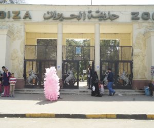 200 ألف زائر حتى الآن.. حديقة حيوان الجيزة تنجح في اختبار عيد الأضحى