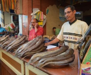 شعبة الأسماك: «تراجع أسعار الفسيخ في شم النسيم بنسبة 15%»