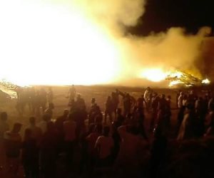 إصابة موظف ونفوق 5 مواشي في حريق بسوهاج 