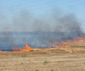 أمن كفر الشيخ يضبط 3 أشخاص لقيامهم بإضرام النيران فى أرض زراعية لخلافات حول الميراث