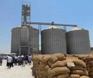 تجار: الجزائر تطرح مناقصة لشراء 50 ألف طن من القمح الصلد