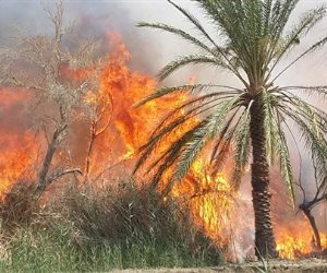 الحماية المدنية تسيطر على حريق بالزراعات بمركز دراو في أسوان