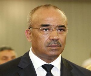 المجلس الدستوري الجزائري يعلن النتائج المؤقتة لانتخاب أعضاء «الشعبي الوطني»