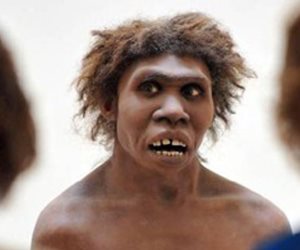 علماء: البشر القدامى تعايشوا في إفريقيا قبل 300 ألف سنة مع نوع من «أشباه البشر»