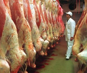 ارتفاع الأسعار العالمية للحوم البقري 13.3% في شهرين