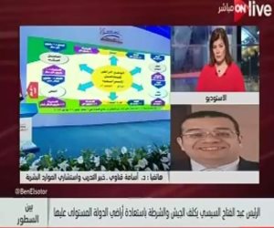 استشارى موارد بشرية لـ ON LIVE: حديث الرئيس عن واضعي اليد يؤكد عودة دولة القانون مرة أخرى
