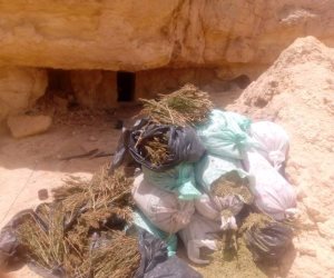 المتحدث باسم القوات المسلحة: القبض على 3 تكفيريين في مداهمة وسط سيناء