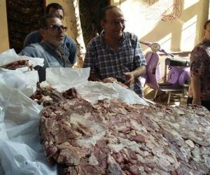 ضبط قرابة طن لحوم وأسماك فاسدة بعدة مناطق بالقاهرة