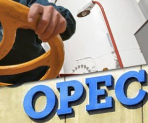 وزير النفط الإيراني: التزام أعضاء أوبك بخفض الإنتاج يتزايد