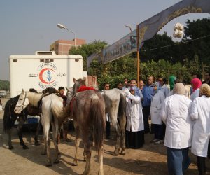 بيطري أسيوط : إلغاء إجازات الأطباء ورفع درجة الاستعداد بالمجازر لاستقبال عيد الأضحى 