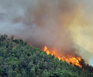 حرائق الغابات تلتهم آلاف الأفدنة في ولاية كاليفورنيا 