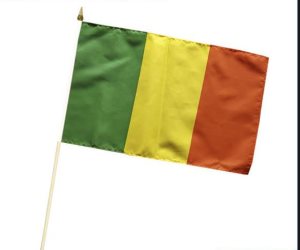 حدث فى مالى .. إعدام مؤثرة على تيك توك علنا يثير جدلا واسعا