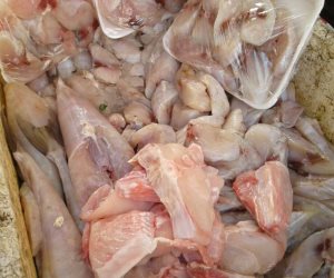 مباحث «تموين الإسكندرية» تحبط ترويج 300 كيلو أسماك «البقر السامة» على الأسواق (صور)