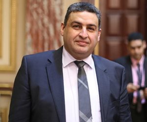 برلماني: مصر شهدت تطورا سياسيا واقتصاديا رغم الحرب على الإرهاب