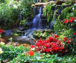زيارة الحدائق واجبه تقلل التوتر وتخفض ضغط الدم.. نقدم  أفضل 10 حدائق في العالم