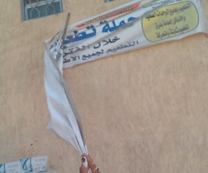 إزالة الإعلانات المخالفة بشارعي الجمهورية والشرقاوي بالعامرية أول في الإسكندرية (صور)
