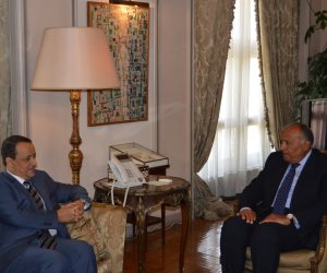 وزير الخارجية: مصر تساند كافة الجهود المبذولة لتسوية الأزمة اليمنية
