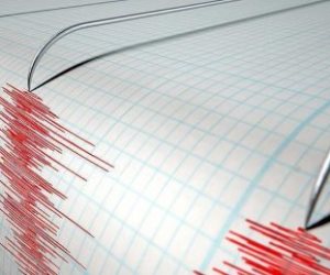 زلزال يضرب تايوان بقوة 5.5 درجات على مقياس ريختر 