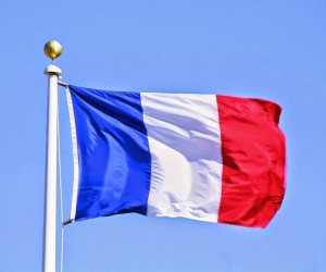 فرنسا تحظر تيك توك وتويتر ونتفليكس وكاندي كراش من الأجهزة الحكومية