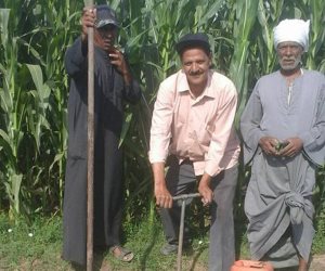 الري.. تعليمات بالمرور على أعمال منطقة الشيخ مرزوق بسوهاج (صور)