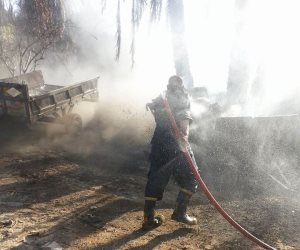 تفاصيل السيطرة على حريق ضخم اندلع في مزرعة مواشي غرب النيل بدراو أسوان (صور) 