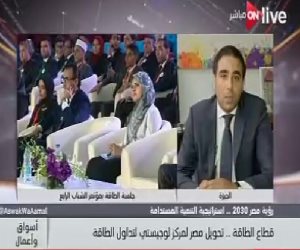 رئيس الجمعية المصرية لشباب الأعمال لـ ON LIVE: مصر بها استراتيجية واضحة فى قطاع الطاقة