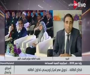 نائب رئيس جمعية شباب الأعمال: مصر بها استراتيجية واضحة في قطاع الطاقة