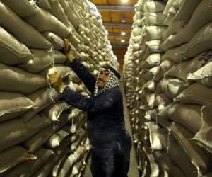 تجار: الأردن يشتري 50 ألف طن من القمح في مناقصة