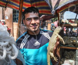 تجارة الحيوانات المفترسة والحشرات السامة تعود من جديد بـ «سوق الجمعة» (فيديو وصور)