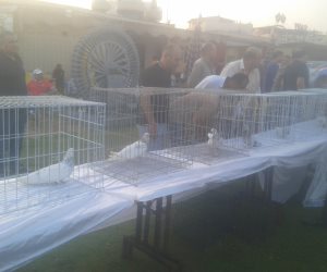 رابطة هواة الحمام بدمياط تنظم مهرجان للحمام الغزار (صور وفيديو)