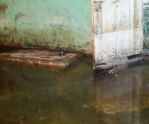 أهالي قرية كفر الدوار يستغيثون من غرق منازلهم في مياه الصرف الصحي بالغربية